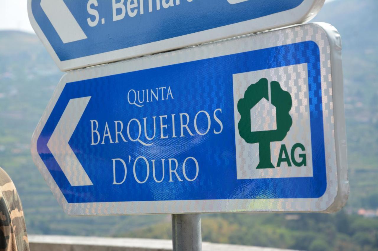 梅骚·弗里奥Quinta Barqueiros D'Ouro - Casa Da Musica别墅 外观 照片